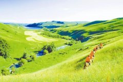 <b>【綠色礦山】綠色礦山和礦山生態修復的區別是什么</b>